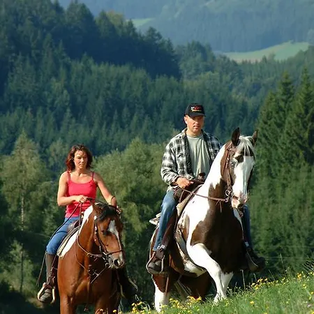 Gaestehaus Lang Pfarrkirchen im Mühlkreis