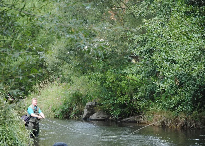 Lang Gasthof Pfarrkirchen im Mühlkreis